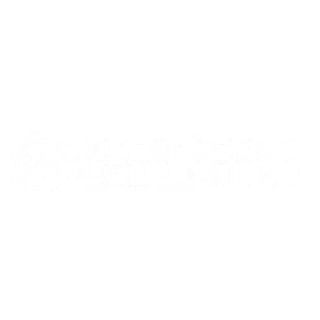 KOIVISION client logo 7