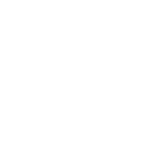 KOIVISION client logo 8