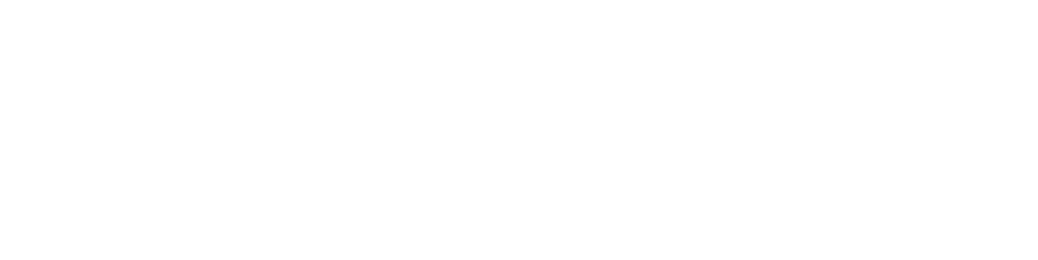 KOIVISION